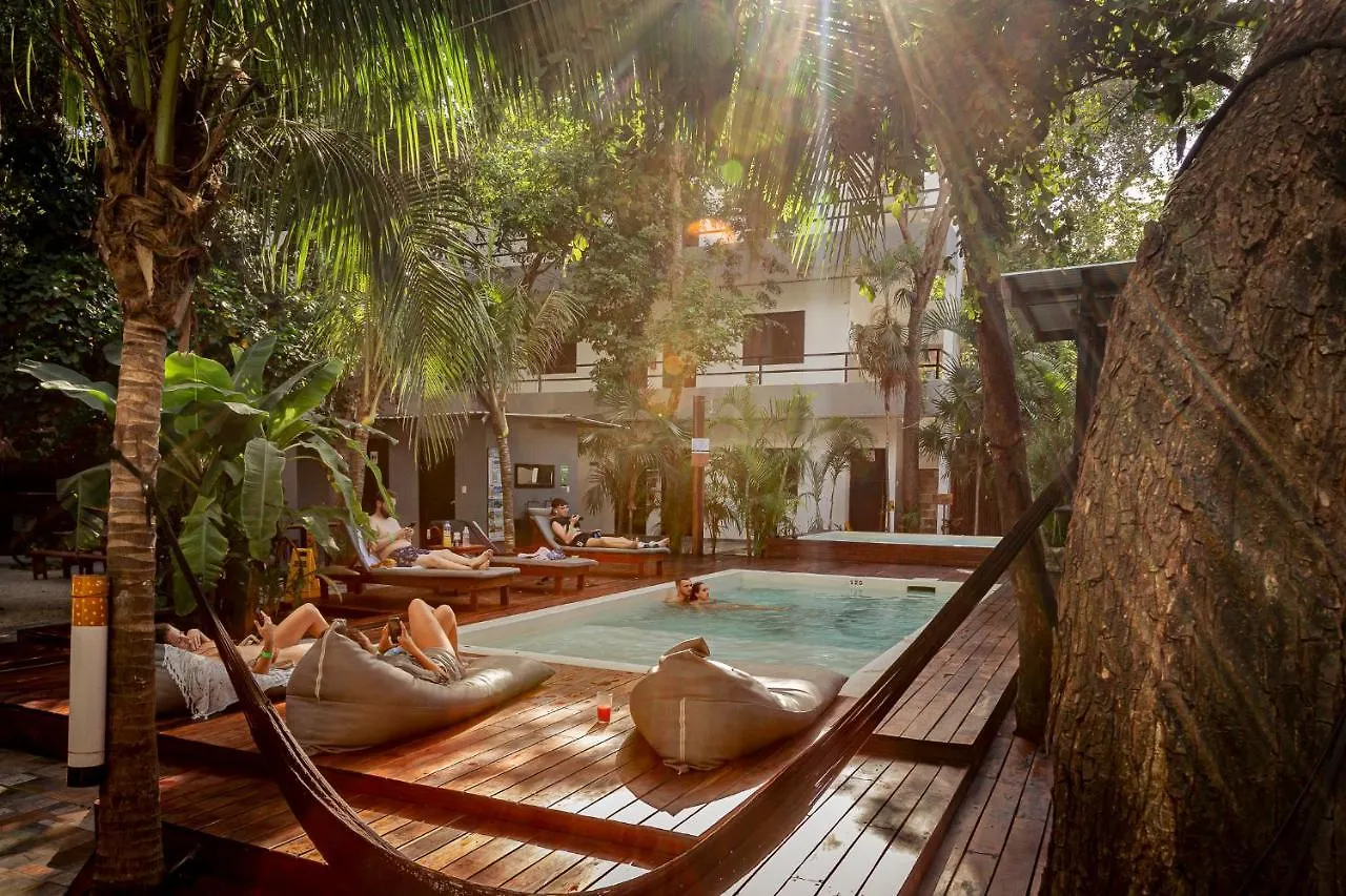 Che Tulum Hostel & Bar Adults Only contacts